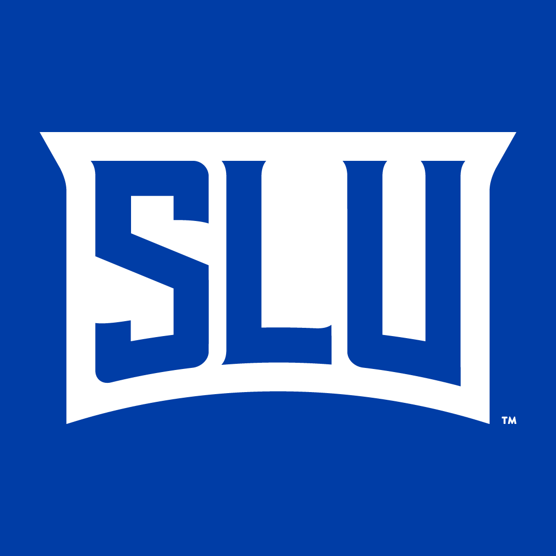 Saint Louis Billikens 2015-Pres Wordmark Logo v2 iron on transfers for clothing